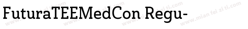 FuturaTEEMedCon Regu字体转换